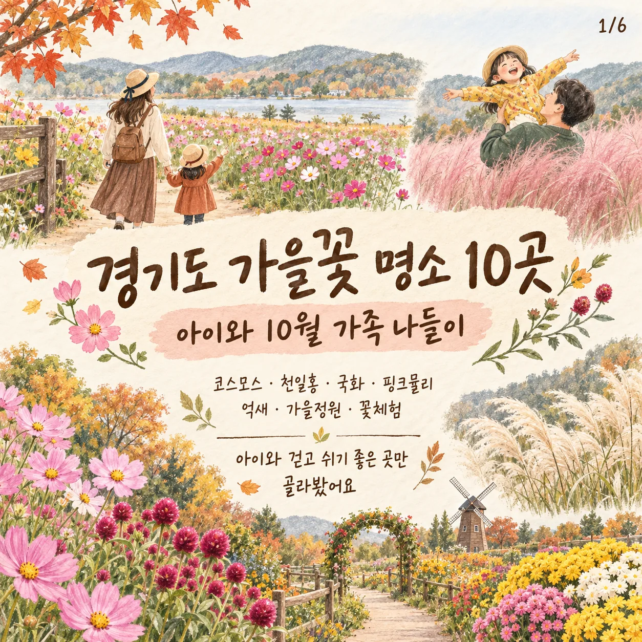 경기도 가을꽃 명소 10곳｜아이와 10월 가족 나들이 추천