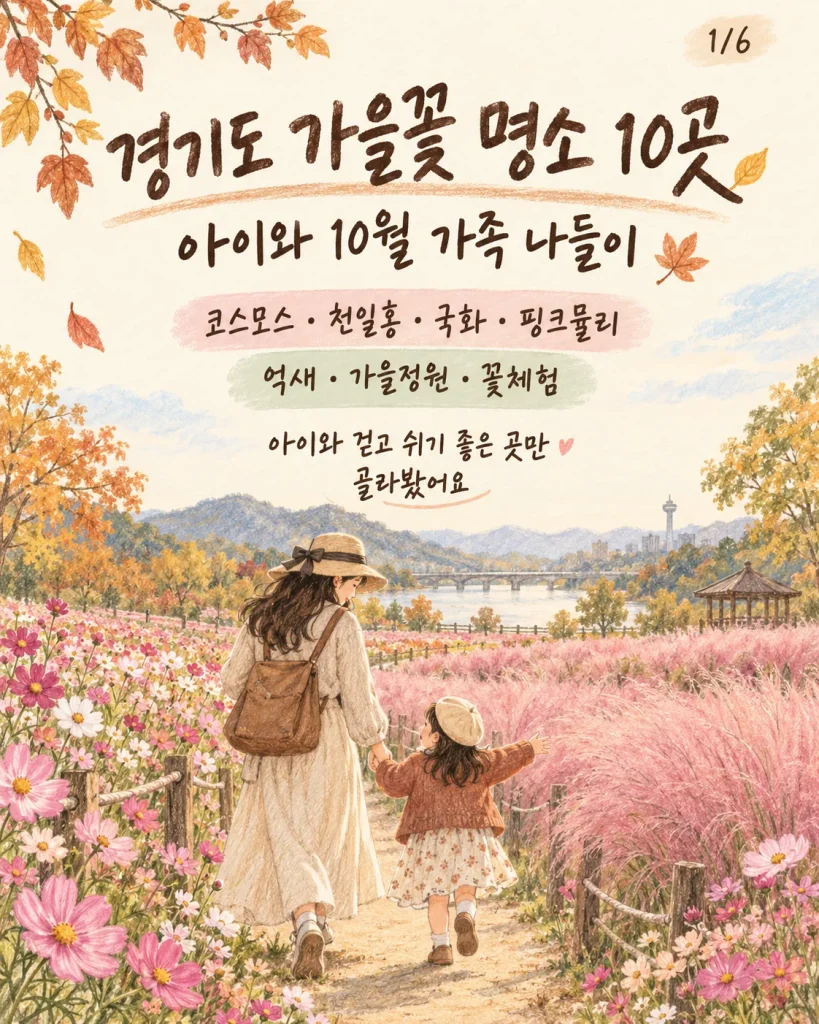경기도 가을꽃 명소 10곳 가족 나들이 요약 카드