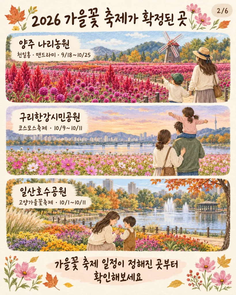 경기도 가을꽃 명소 양주 나리농원·구리한강시민공원·일산호수공원 2026 가을 일정