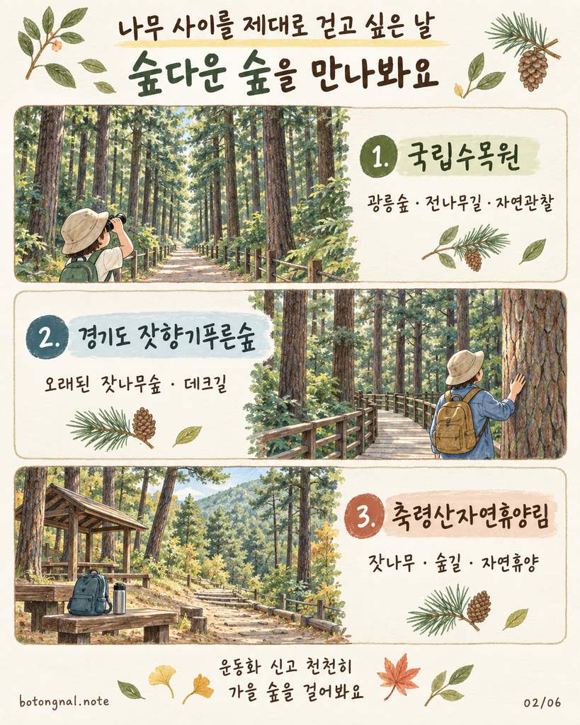 울창한 숲을 만나는 국립수목원·잣향기푸른숲·축령산자연휴양림 안내