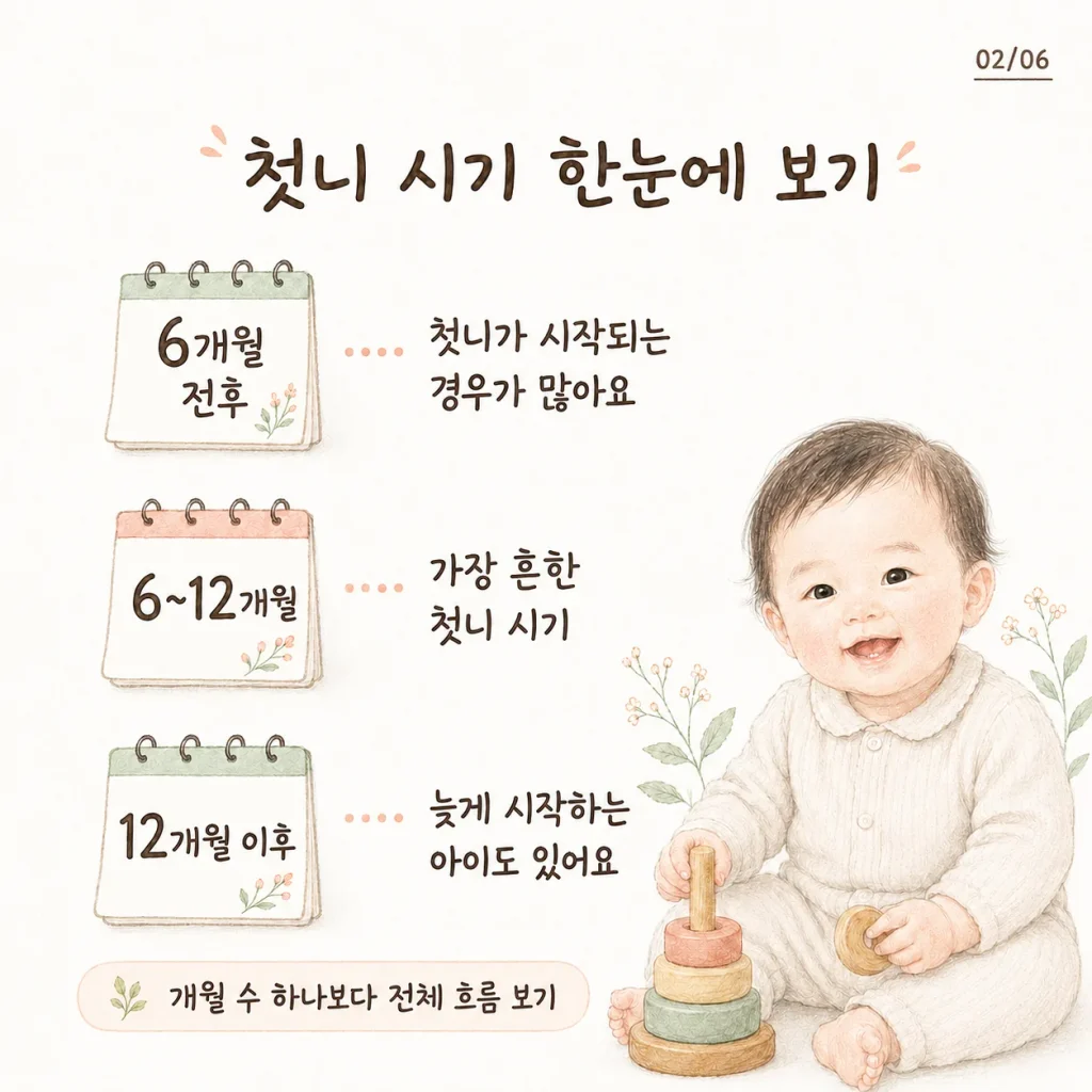 아기 첫니 시기 한눈에 보기 6개월 전후 카드