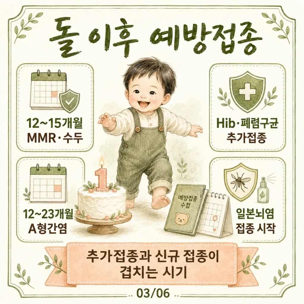 어린이 무료 예방접종 돌 이후 일정 MMR 수두 A형간염