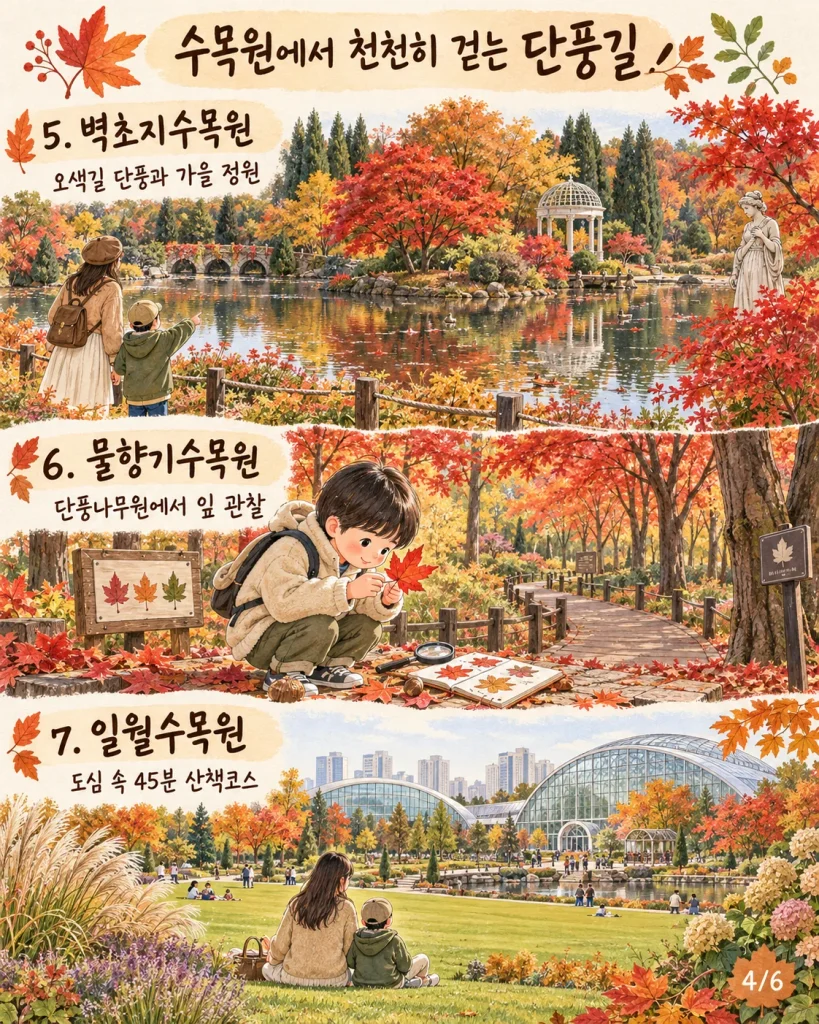 아이와 걷기 좋은 경기도 수목원 단풍길