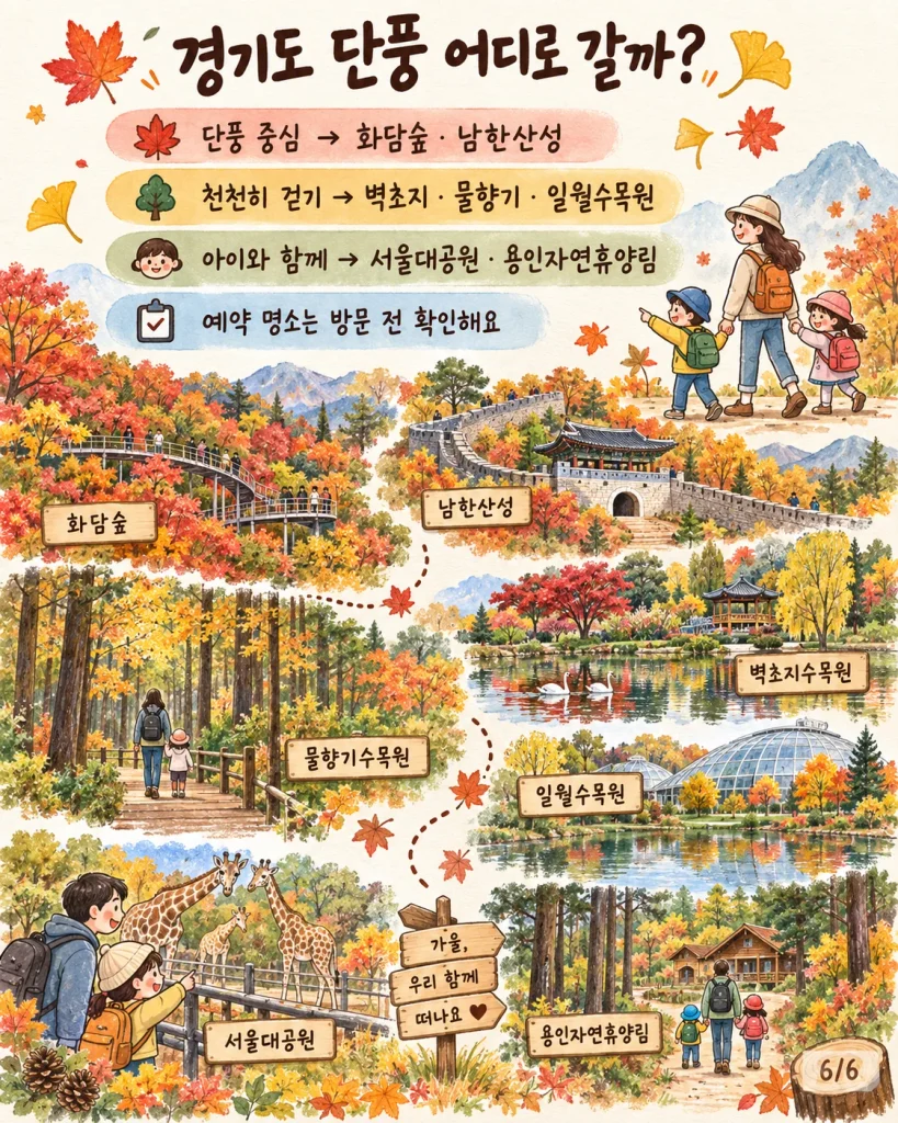 경기도 단풍 나들이 장소 선택과 아이 동반 준비 팁