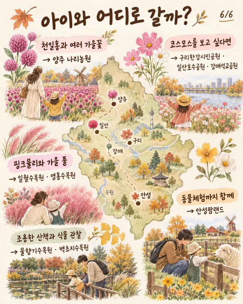 아이와 경기도 가을꽃 나들이 목적별 장소 선택 안내