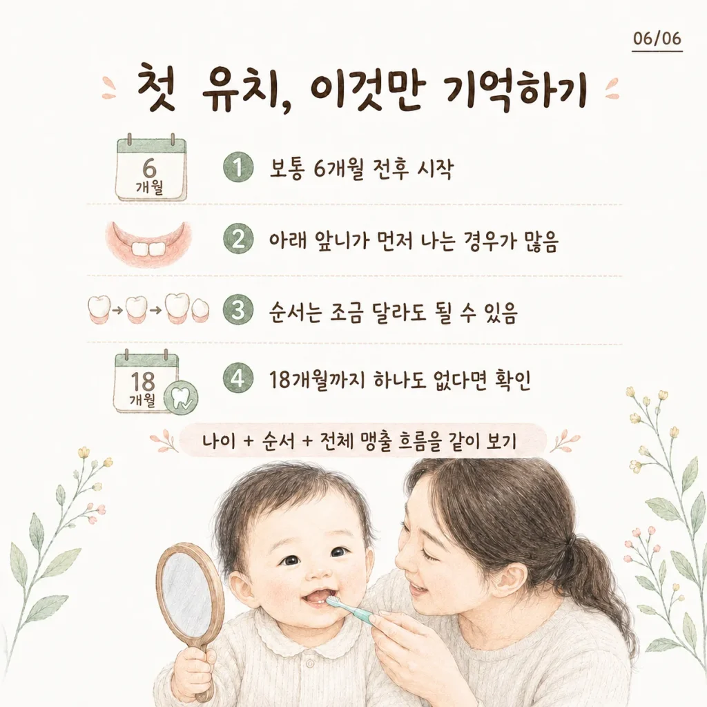 첫 유치 이것만 기억하기 아기 첫니 나는 시기 정리 카드