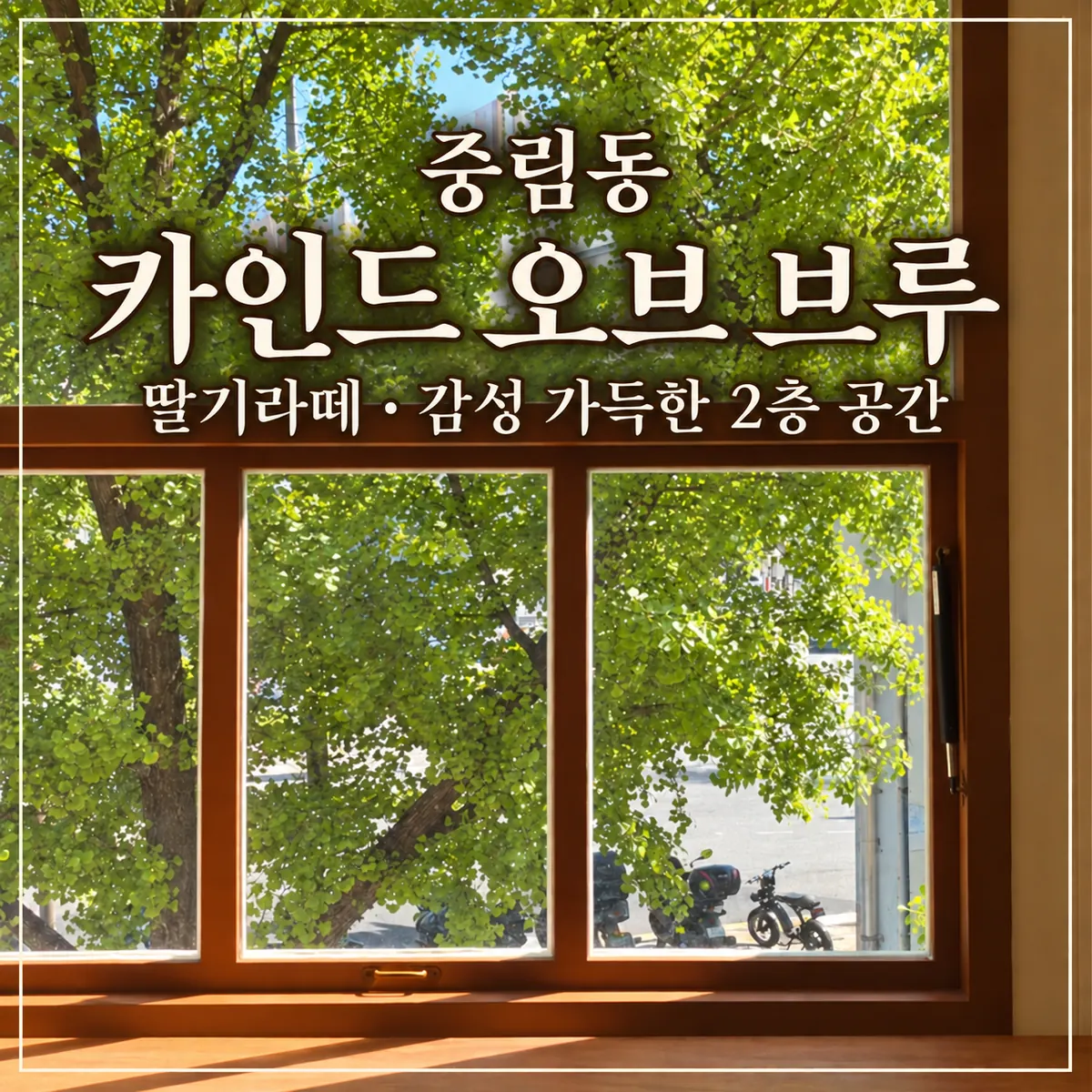 중림동 카페 카인드 오브 브루｜딸기라떼와 햇살 좋은 2층 공간 후기