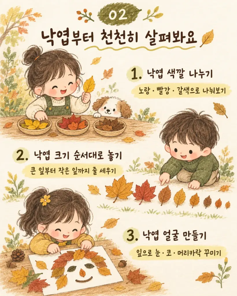 낙엽 색깔 나누기 크기 순서대로 놓기 낙엽 얼굴 만들기 카드