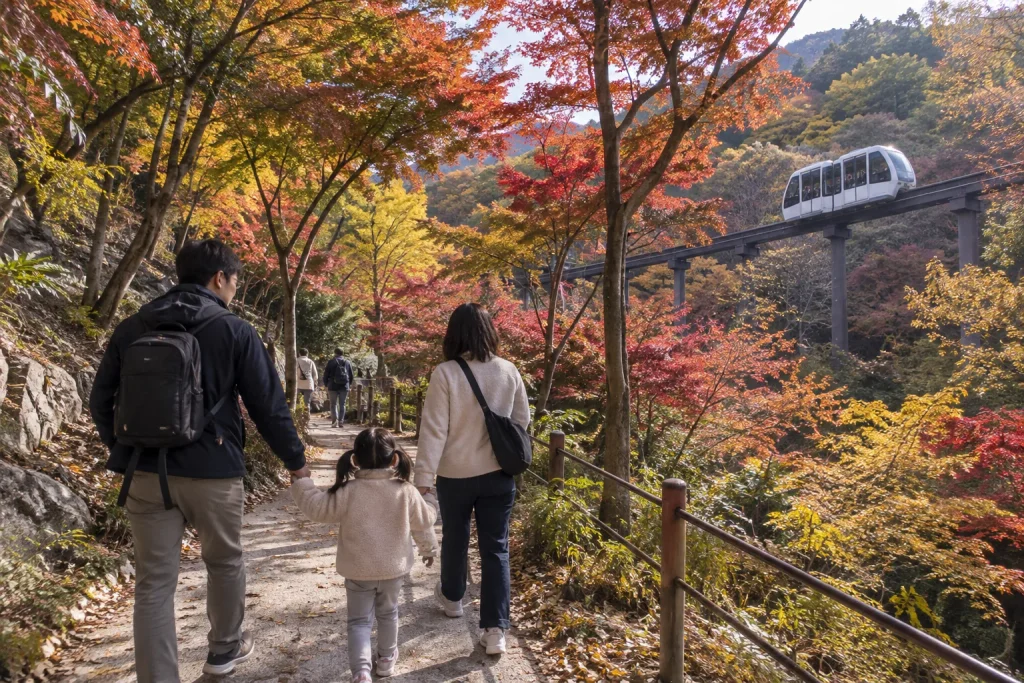 가을 단풍으로 물든 광주 화담숲 산책로