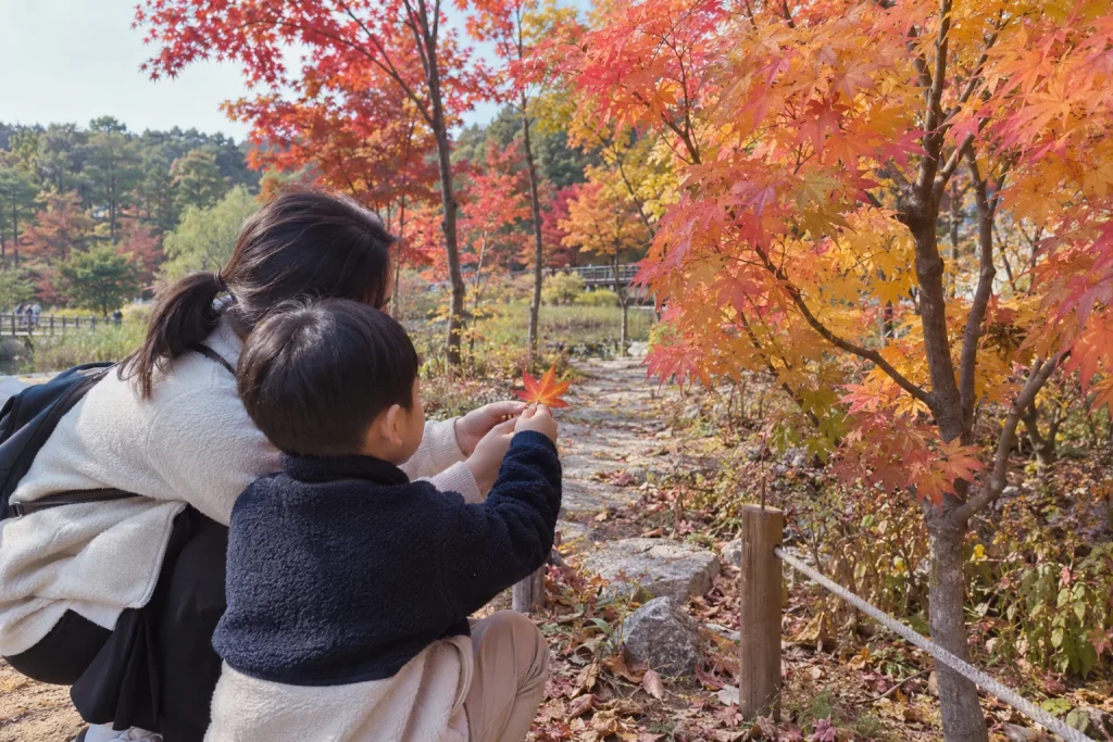 단풍나무가 물든 오산 물향기수목원 산책길
