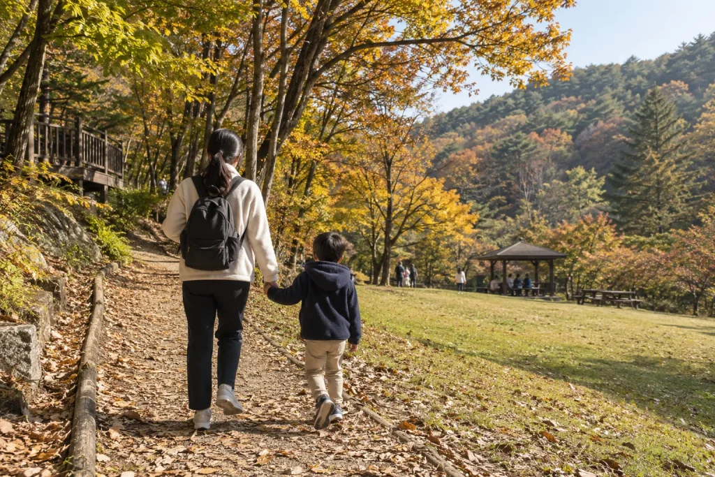 가을 숲길과 잔디 공간이 있는 용인자연휴양림