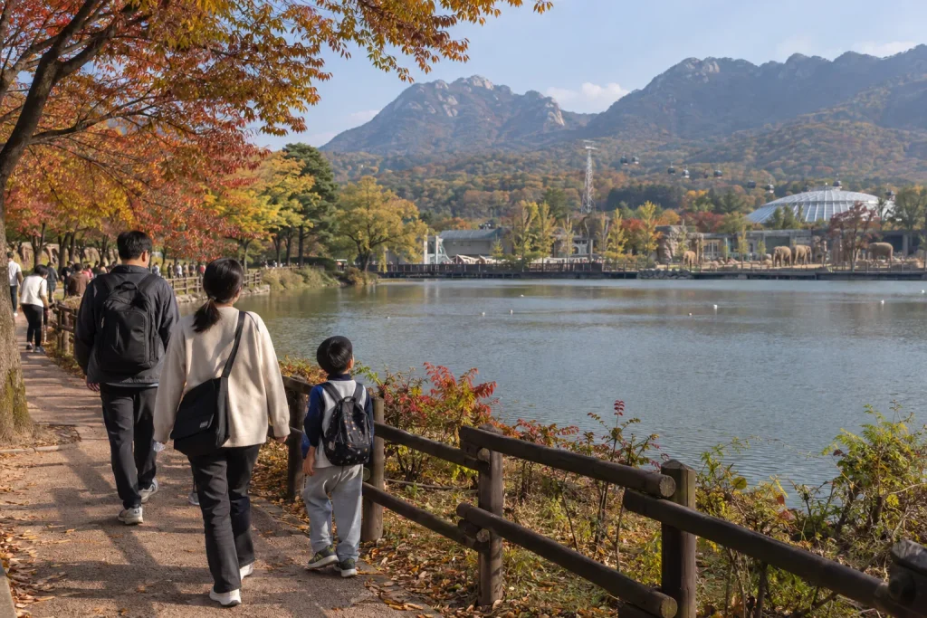 가을 단풍 산책과 동물 관람을 함께 즐기는 서울대공원