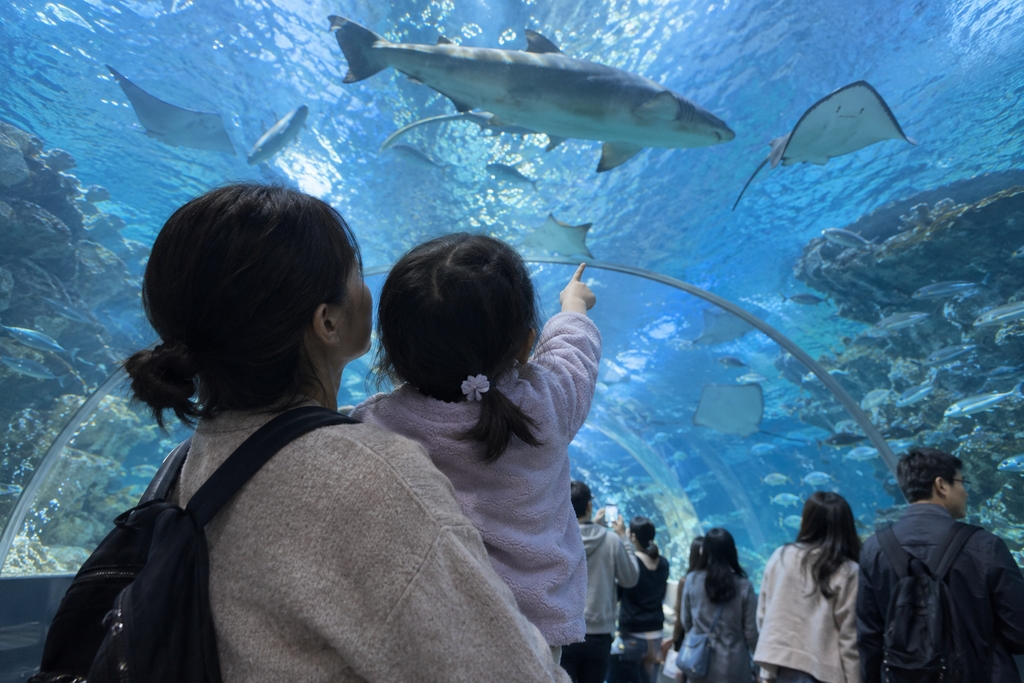 SEA LIFE 부산아쿠아리움 나들이 장소 이미지