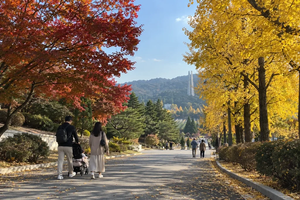 가을 나무가 늘어선 국립서울현충원 산책로