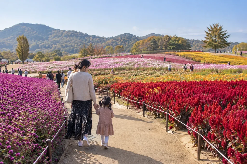 양주 나리농원 가을꽃과 산책 풍경