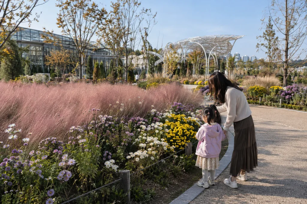 일월수목원 가을꽃과 산책 풍경