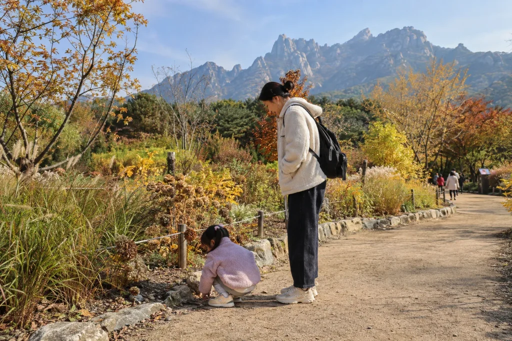 서울식물원 풍경